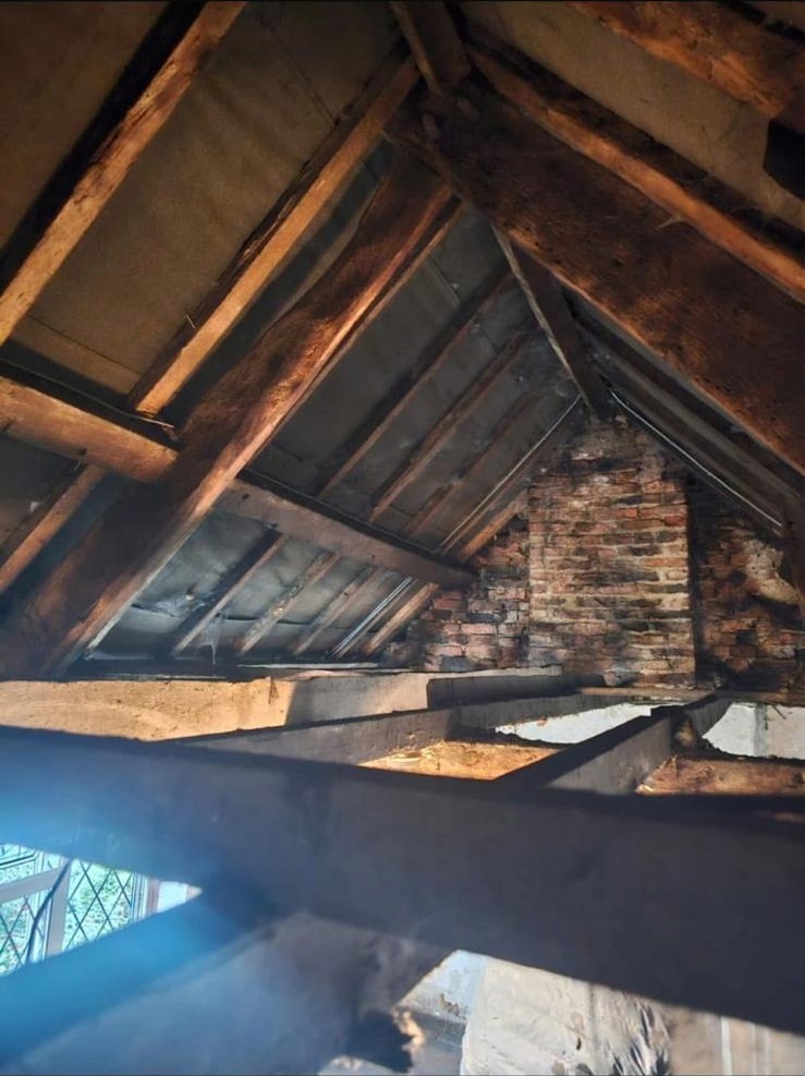 Loft damp and timber inspection